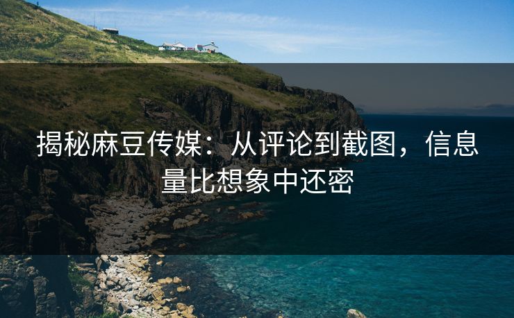 揭秘麻豆传媒：从评论到截图，信息量比想象中还密  第1张