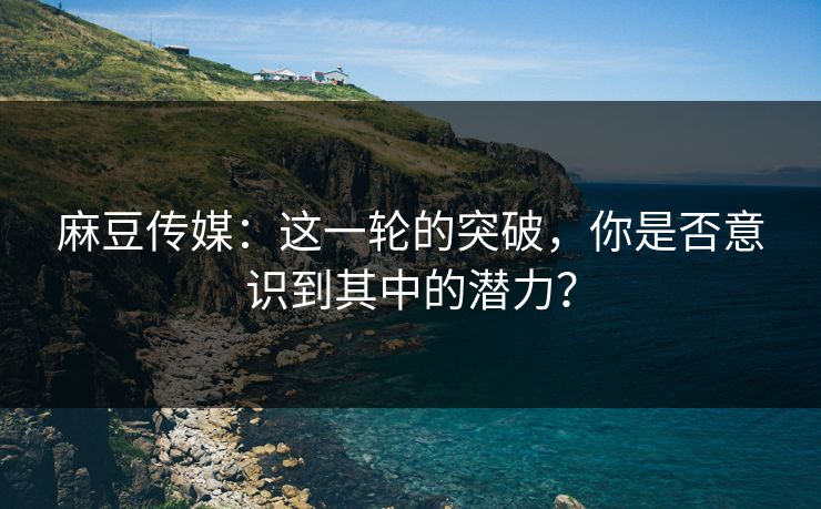 麻豆传媒：这一轮的突破，你是否意识到其中的潜力？  第1张
