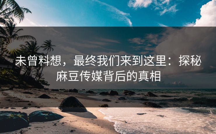 未曾料想，最终我们来到这里：探秘麻豆传媒背后的真相  第1张