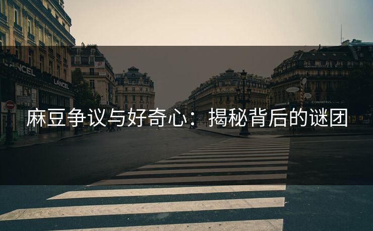 麻豆争议与好奇心：揭秘背后的谜团  第1张