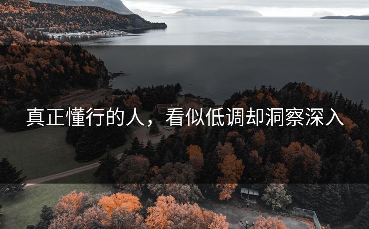 真正懂行的人,看似低调却洞察深入 第1张 真正懂行的人,看似低调却洞察深入 第1张