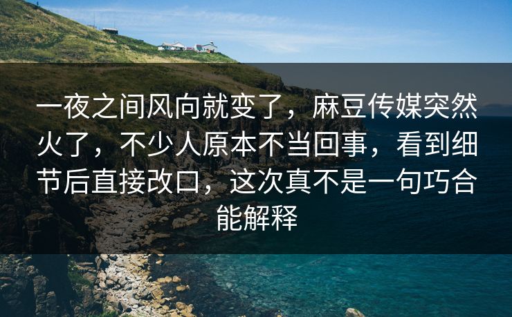 一夜之间风向就变了，麻豆传媒突然火了，不少人原本不当回事，看到细节后直接改口，这次真不是一句巧合能解释  第1张