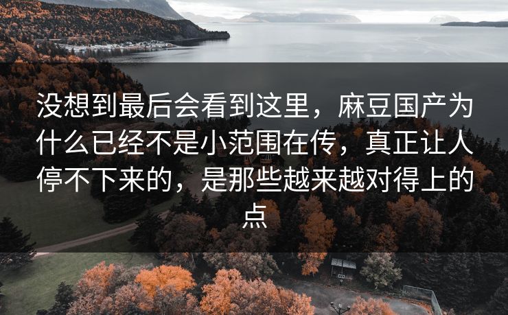没想到最后会看到这里，麻豆国产为什么已经不是小范围在传，真正让人停不下来的，是那些越来越对得上的点  第1张