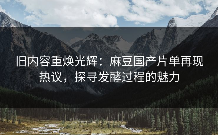 旧内容重焕光辉：麻豆国产片单再现热议，探寻发酵过程的魅力  第1张