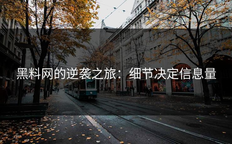 黑料网的逆袭之旅：细节决定信息量  第1张