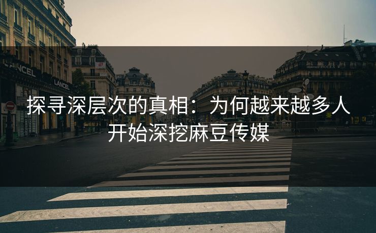 探寻深层次的真相：为何越来越多人开始深挖麻豆传媒  第1张