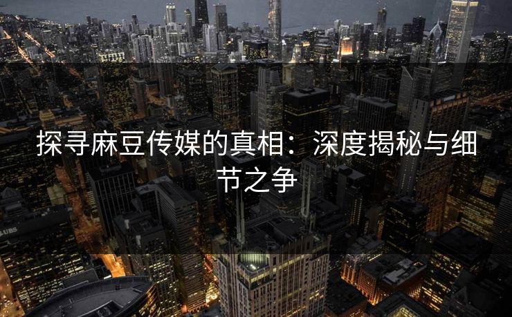 探寻麻豆传媒的真相：深度揭秘与细节之争  第1张